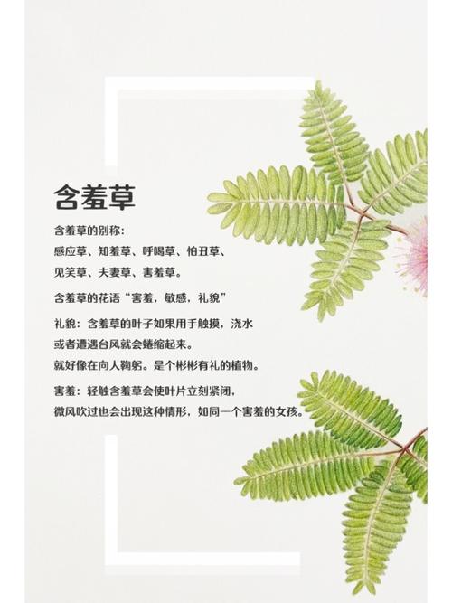 mm137美女大尺度写真的相关介绍