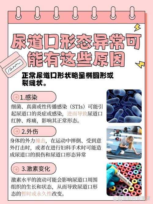 有码人妻一区的相关介绍