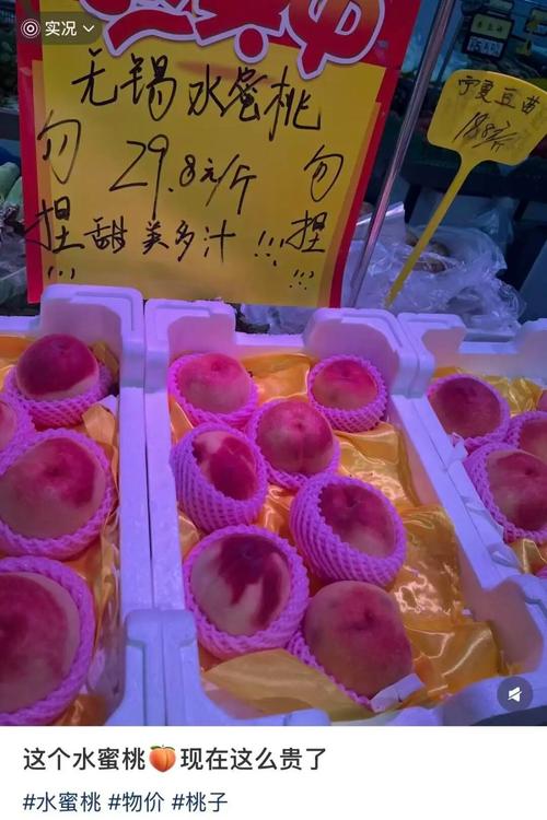 国产欧美一区二区三区精华液好吗的相关介绍
