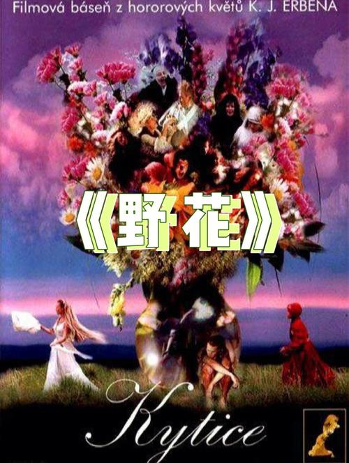 红尘影院在线观看_高清电影电视剧免费追剧平台_最新热播影视大全推荐