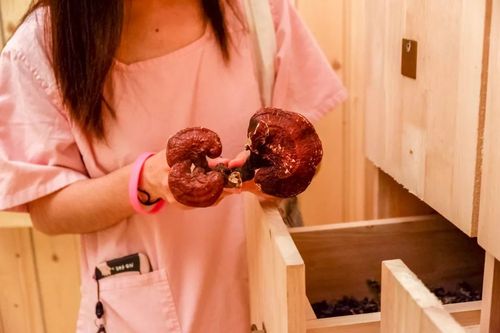 悠悠影院在线观看 - 最新热播电影电视剧免费追剧平台，高清无广告观影体验