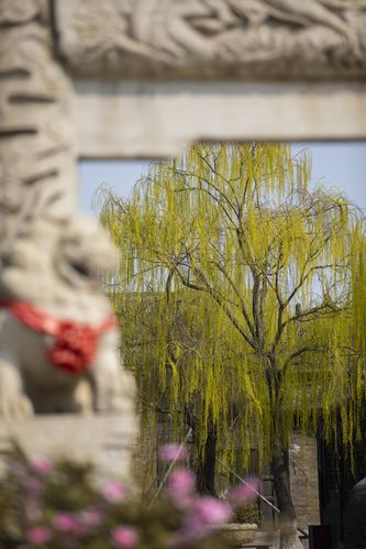 根据您提供的域名关键词“少妇”，生成的SEO标题如下：

**少妇生活指南：精致少妇的穿搭技巧与居家收纳术分享**