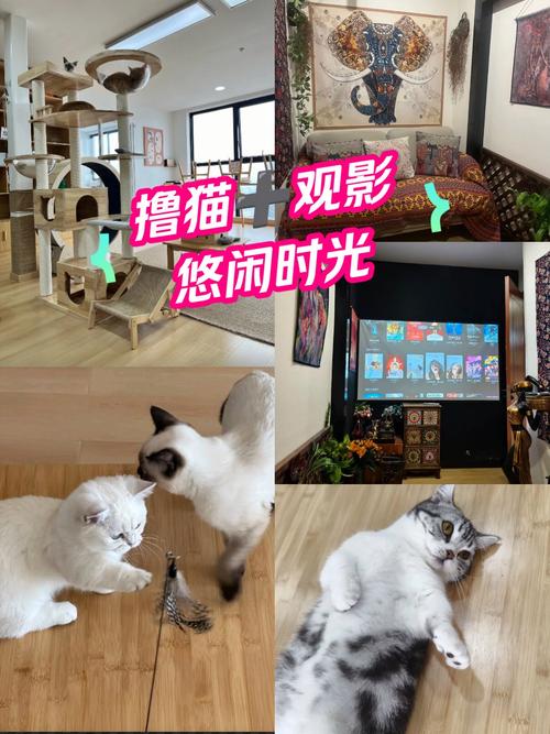 根据飘花电影院第1生成SEO标题：**飘花电影院第1集在线观看 | 高清完整版免费播放 | 最新剧情解析与经典电影推荐**