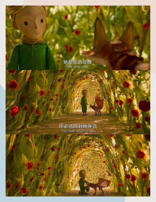 青苹果乐园在线影院免费观看 | 最新高清电影电视剧全集在线看 | 无需下载VIP影视资源