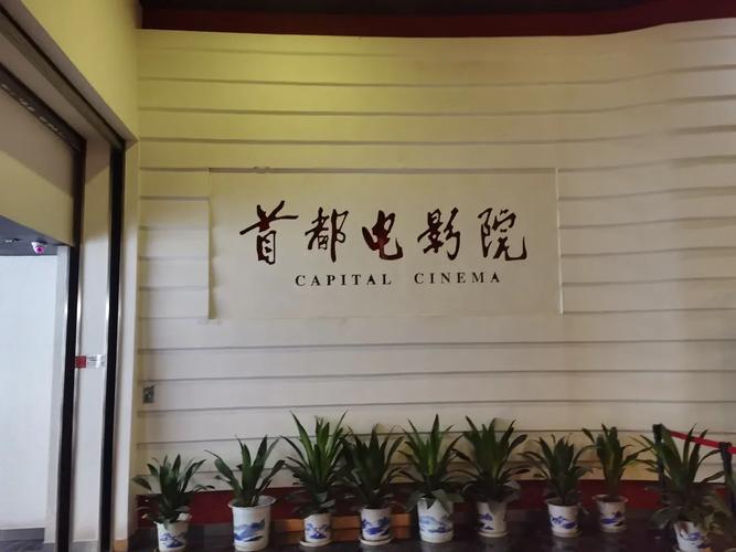 思远影院在线观看 - 最新电影电视剧免费高清播放，无广告观影体验