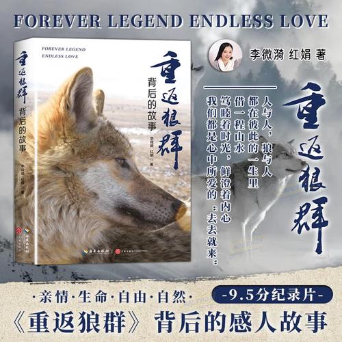 日本精油按摩7：深层舒压技法与芳香疗愈体验的完整指南