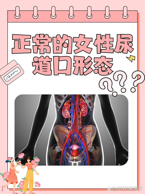 四虎影视影院电影在线的相关介绍