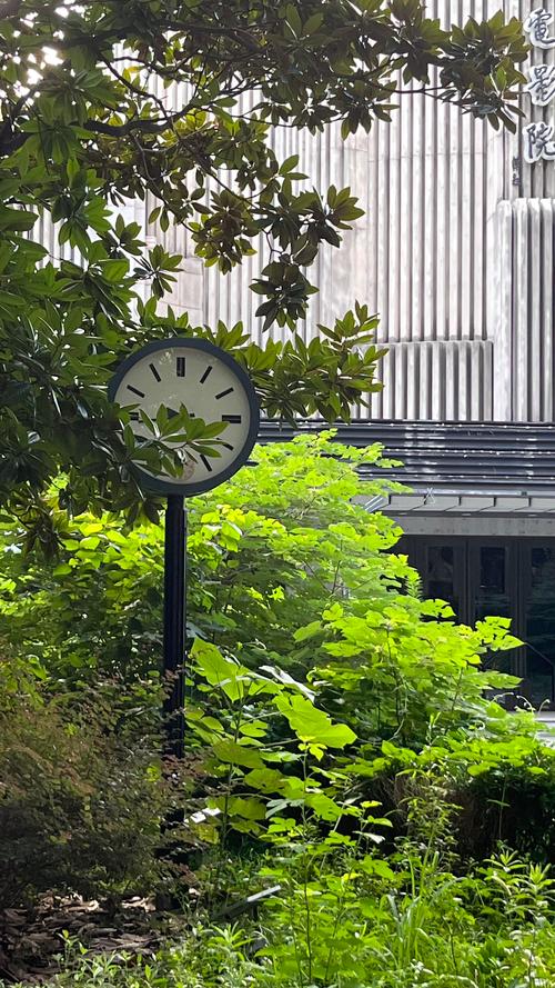 湿湿影院在线观看 - 最新高清电影、热门电视剧免费追剧平台推荐